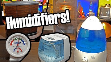 Humidifiers: Simpler is better?