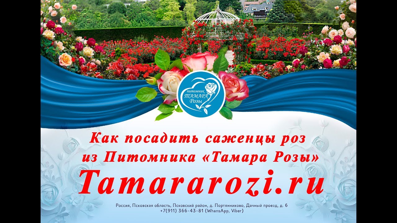 Тамара Роза Интернет Магазин Каталог Весна 2022