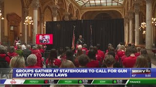 Groups Gather at Statehouse to call for Gun Safety Storage Laws