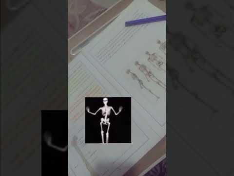 متت لامين يامال اكسبلور اهميه بيدري  اعتني ميسي شلتنا 