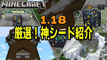 マイクラ 1 18村