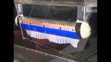 The Incredible Robot Fish