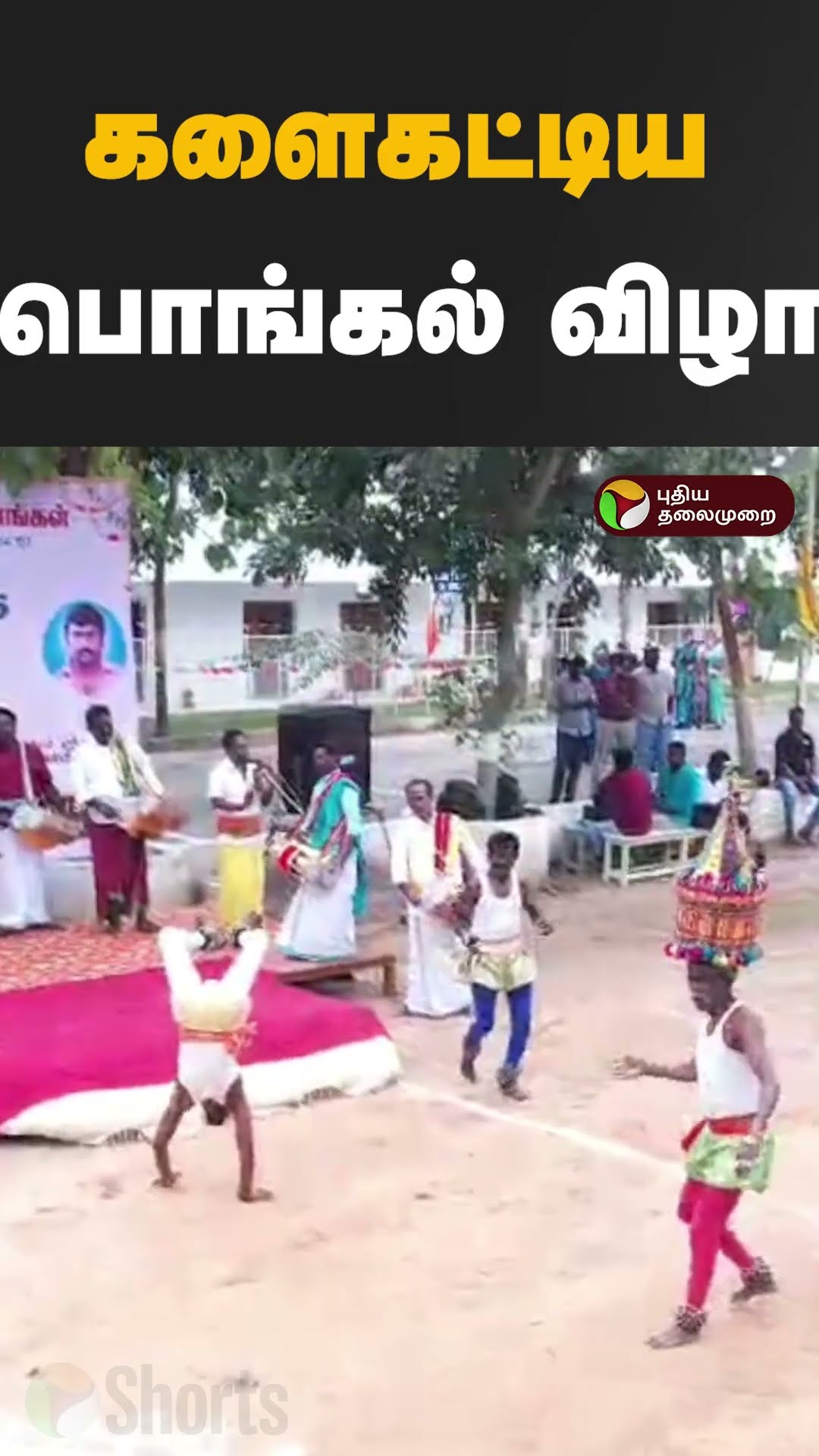 களைகட்டிய பொங்கல் விழா #shorts #College #pongal