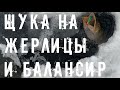 Щука не лезет в лунку | Рыбалка на Жерлицы на Щуку | Ловля на Балансир Зимой