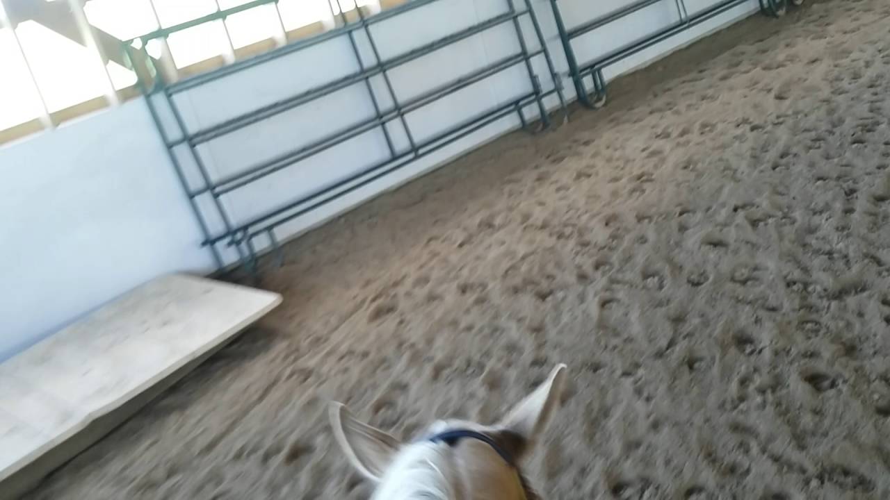 How To Get A Lazy Horse To Keep Loping Part2 YouTube