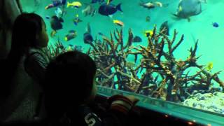 水族館(NOV 17, 2013 10:03 - 11:28)