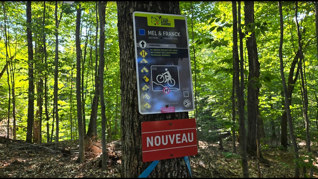 Mel & Frank *** Je m'attendais à...plus...