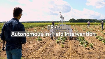 PhenoRob Core Project 4: Autonomous In-Field Intervention