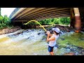 100 LB MONSTER in a CITY CREEK?!  (INTENSE)