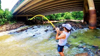 100 LB MONSTER in a CITY CREEK?! (INTENSE)