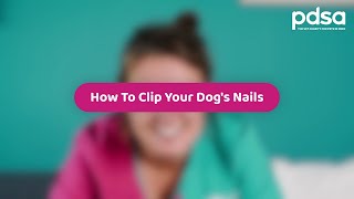 How To Clip Your Dog's Nails | Pet Health Advice