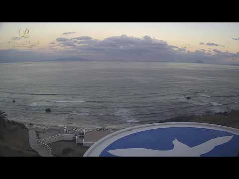 下田プリンスホテル 白浜中央海水浴場(ライブカメラより)