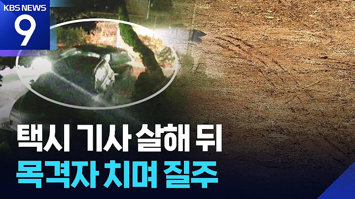 택시기사 살해 뒤 행인 치고 달아나…도주 1시간 만에 검거 [9시 뉴스] / KBS  2025.06.26.