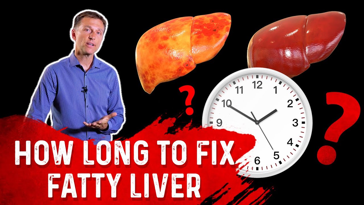 How Long Does It Take to Fix Fatty Liver? Dr. Berg YouTube