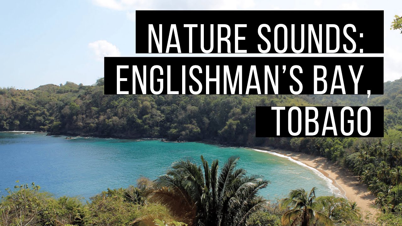 Pure Relaxation: Ocean Waves at Englishman’s Bay Beach, Tobago (10 Min)