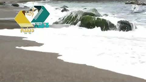 صلاة العشاء وقراءة ماتيسر من سورة البقرة من الآيه (١٥٠ إلى الآية ١٦٣ )بصوت الشيخ  أحمد حلاوة