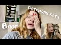 ВЛОГ 💜 Как выглядит мой МУЖ 😃 ПОТЕРЯЛИ КОТА 😱 Интрукция по регистрации и покупкам на Ozon 🛒 🛍