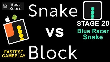 Snake vs Block | Stage 20: Blue Racer Snake | Best Score | PLAY mAdy
