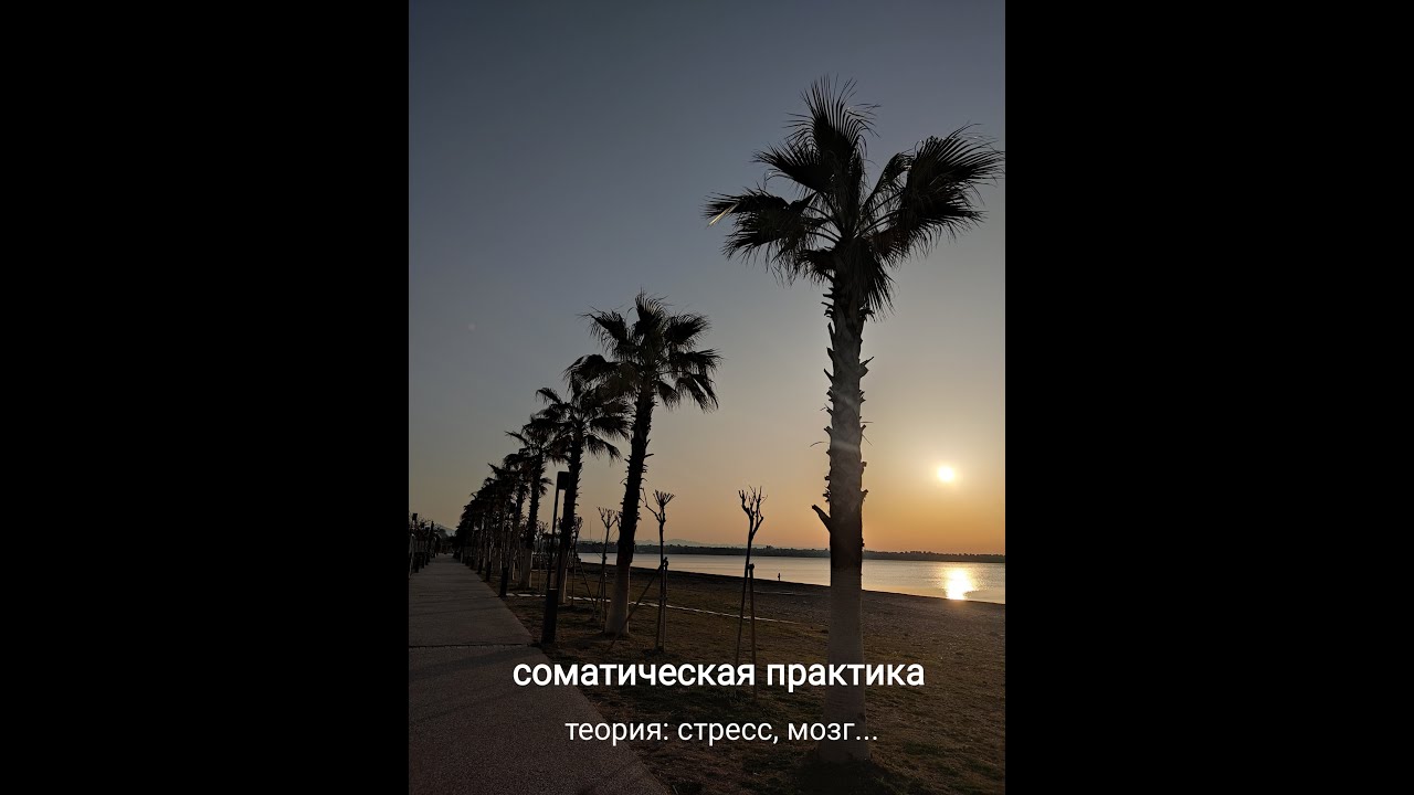 Соматическая тренировка-практика. Немного теории о стрессе и мозге...