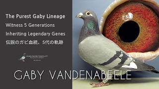 The Mystery of Genetics: 5 Generations of Gaby Vandenabeele Legacy 🕊️