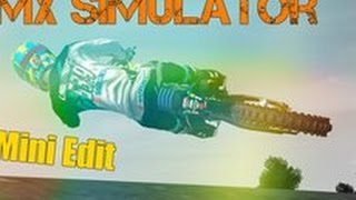mx simulator MINI EDIT