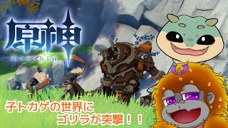 [原神]先輩風吹かせちゃうかぁ！！[Vtuber/コラボ]