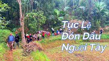 Đón Nàng Về Dinh - Phong Tục Đón Dâu Dân Tộc Tày - Hoa Núi TV