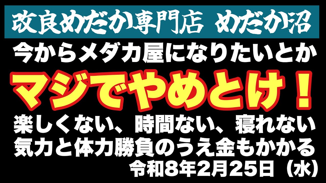 【めだか】メダカ屋やるとかマジでやめとけ！…めだか沼2026.2.25