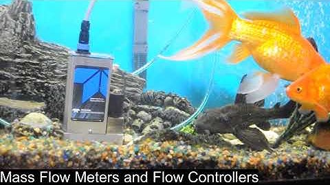 Digital 300 IP-67 Mass Flow Meters & Controllers