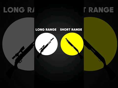 Best gun combination