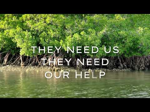 Sungai Klang   Coastal Oasis by Planters