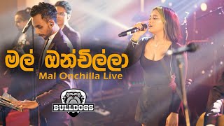 Mal Onchilla (මල් ඔන්චිල්ලා) | Hana shafa | BullDogs