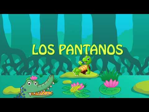 Video: Animales de pantanos. ¿Qué animales viven en los pantanos?