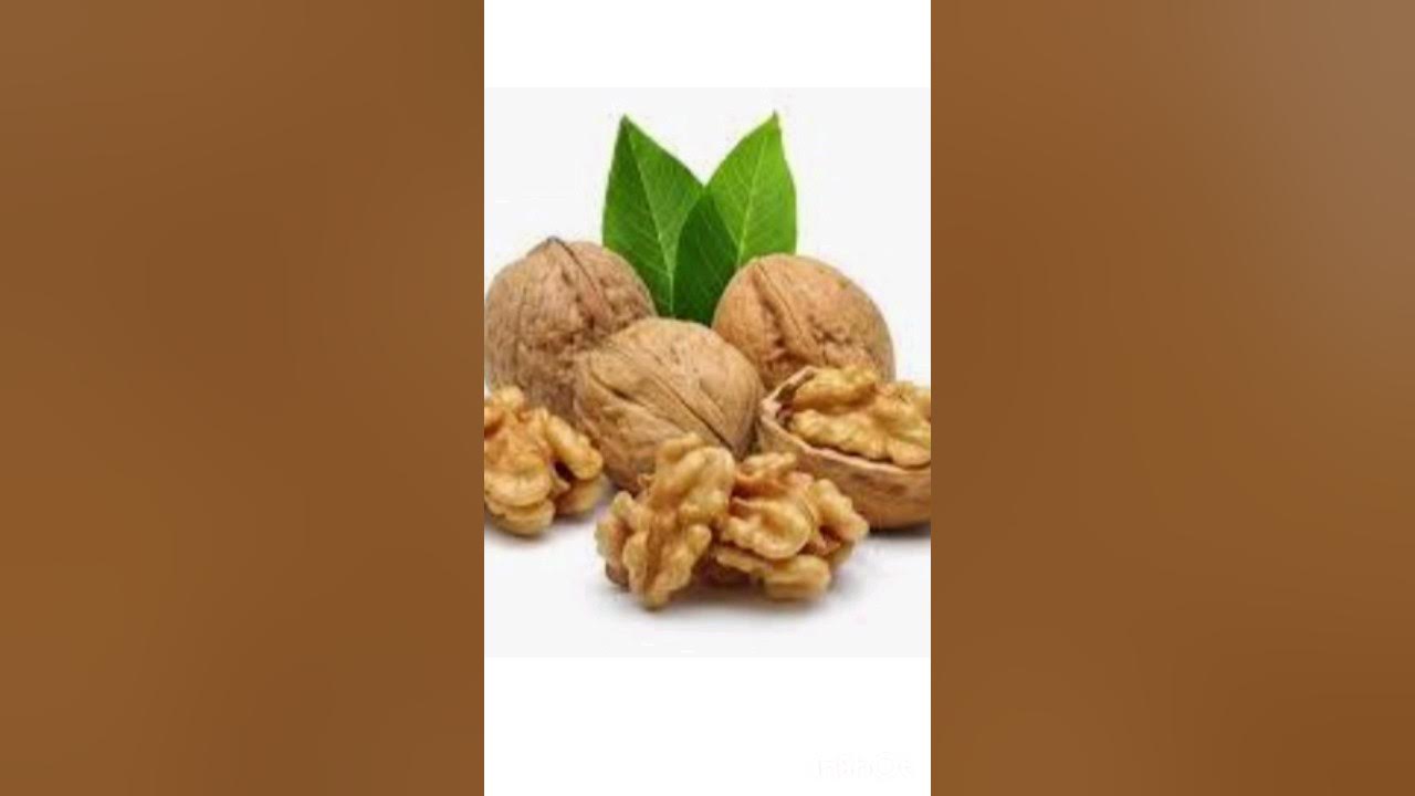 The largest producers of walnuts in the world YouTube