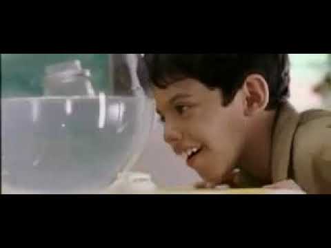 taare-zameen-par