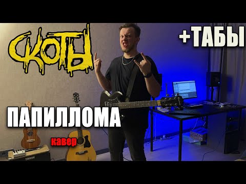 скоты - папиллома  (guitar cover) табы аккорды