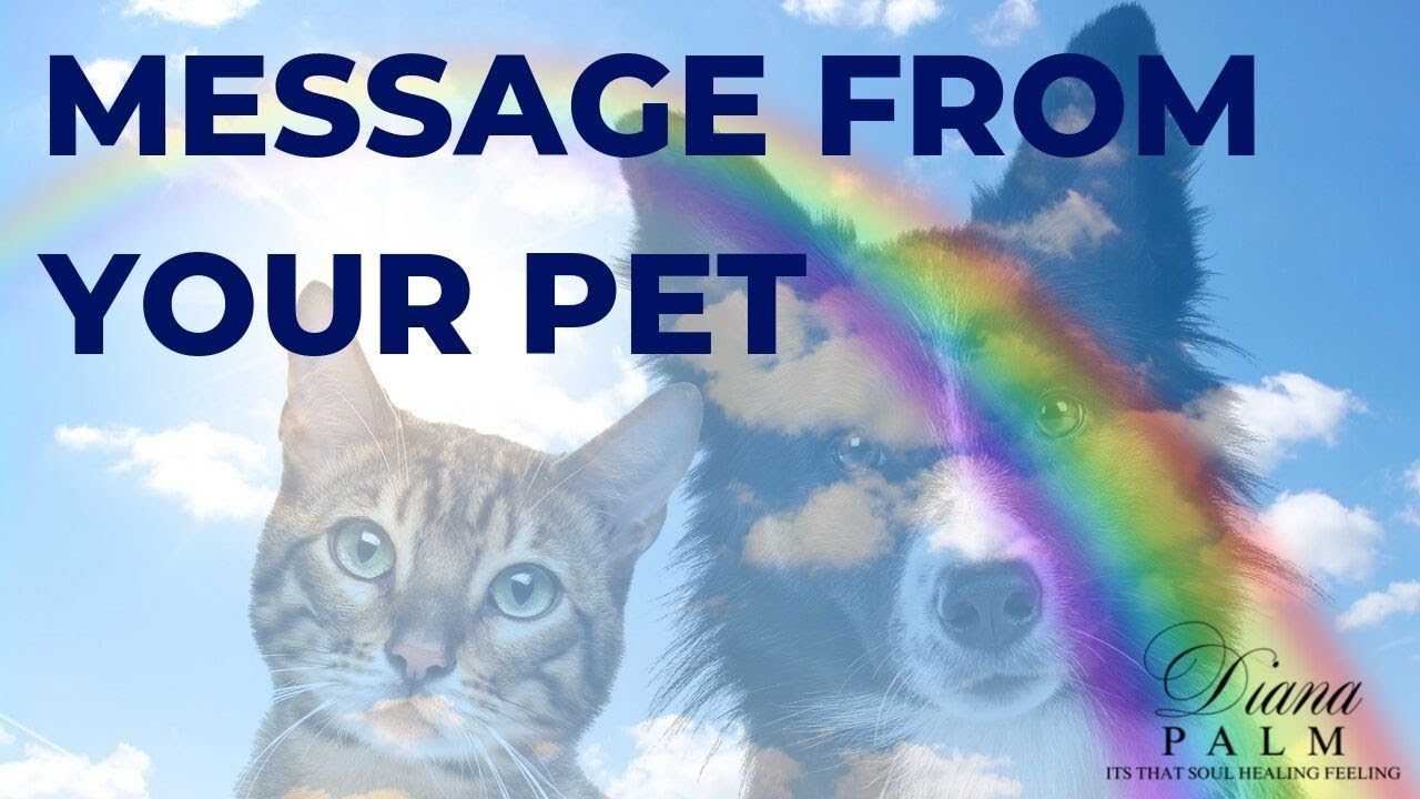 COMMUNICATING WITH PETS AFTER DEATH - MESSAGES FROM HEAVEN