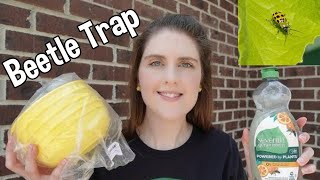How To Make A Cucumber Beetle Trap