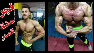 تمرين صدر كامل (بنش) FULL CHEST WORKOUT