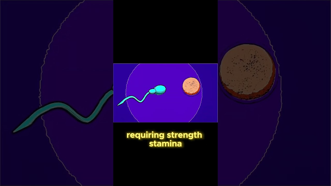 The Acrosome Reaction: Sperm's Epic Journey