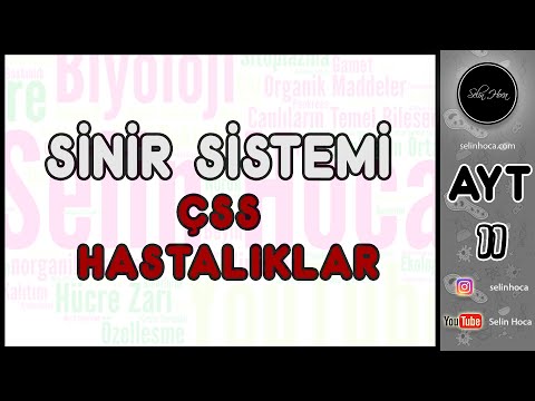 6) Çevresel Sinir Sistemi ve Hastalıklar