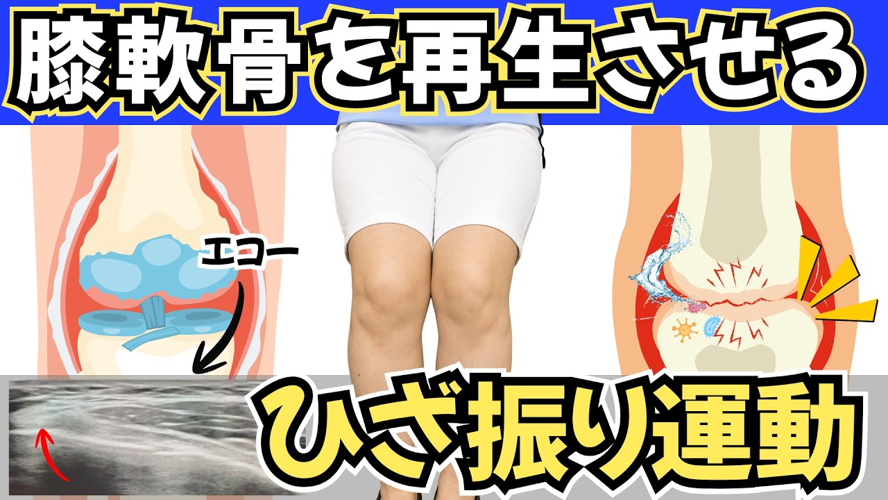 膝 軟骨 を 増やす 方法