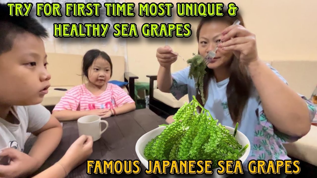 Try for first time most unique & heathy sea grapes// famous Japanese sea grapes 