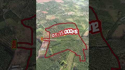 30Lô Nền 5*50m, 100m2 TC/Lô. Và 1Lô 11ha, 20m M.Đường Nhựa, 400m2 Long Hà-Đồng Nai. #nguoirungbds 