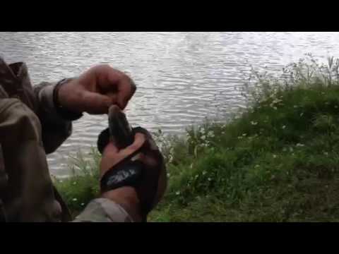 16.06.2016წ. ზიარის ტბა, ლაშა