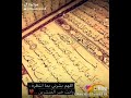 يا قلبي طفرت فيا غير انا وياك انت نية وانا رحت معاك 