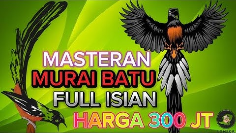 MASTERAN MURAI BATU JUARA 1 NASIONAL | MURAI BATU FULL ISIAN TEMBAKAN MEWAH