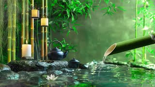 Música Relajante y Sonidos De Agua De Bambú Ayudan a Estabilizar La Mente y Restaurar La Salud