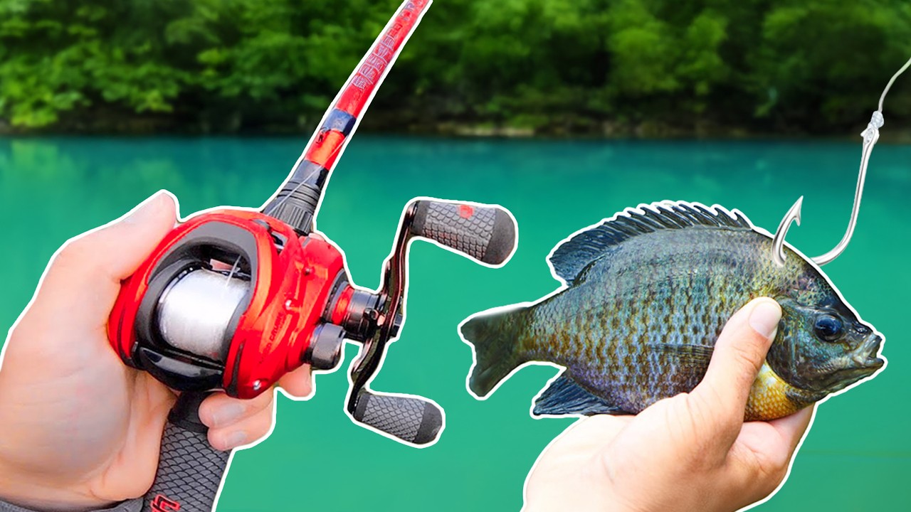 Thumbnail for Fishing for 10lb Bass w/ LIVEBAIT!