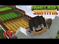 Making an Automatic Food Farm!!!!! | Minecraft Survival | Day 4